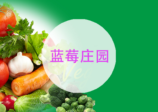 微企秀案例——蓝莓庄园