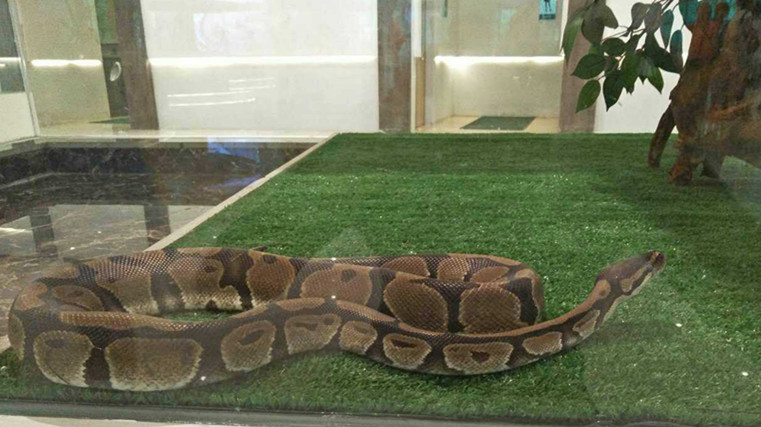 微信图片_20170726113732_副本.jpg 微信图片_20170726113732_副本.jpg