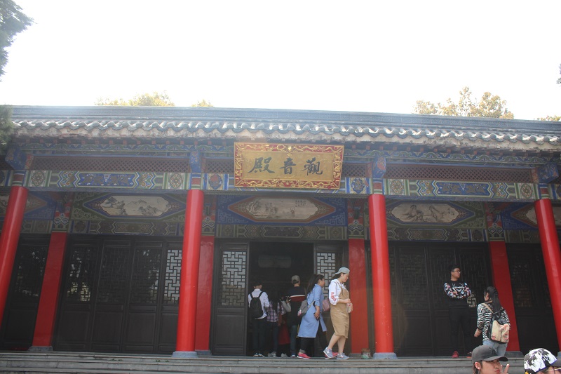 IMG_6226.JPG IMG_6226.JPG