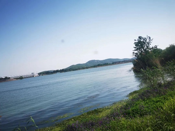 微信图片_20200509101517.jpg 微信图片_20200509101517.jpg