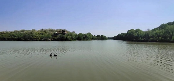 微信图片_20200509101633.jpg 微信图片_20200509101633.jpg