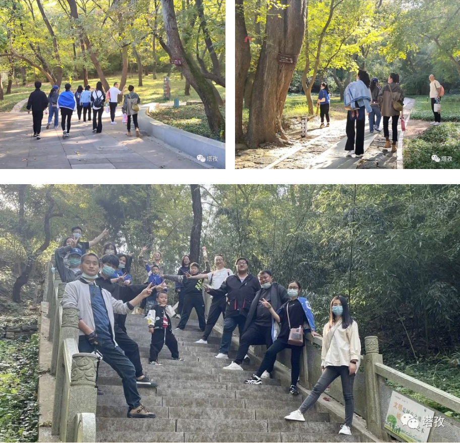 塔孜狼巷迷谷一日游_06.jpg 塔孜狼巷迷谷一日游_06.jpg