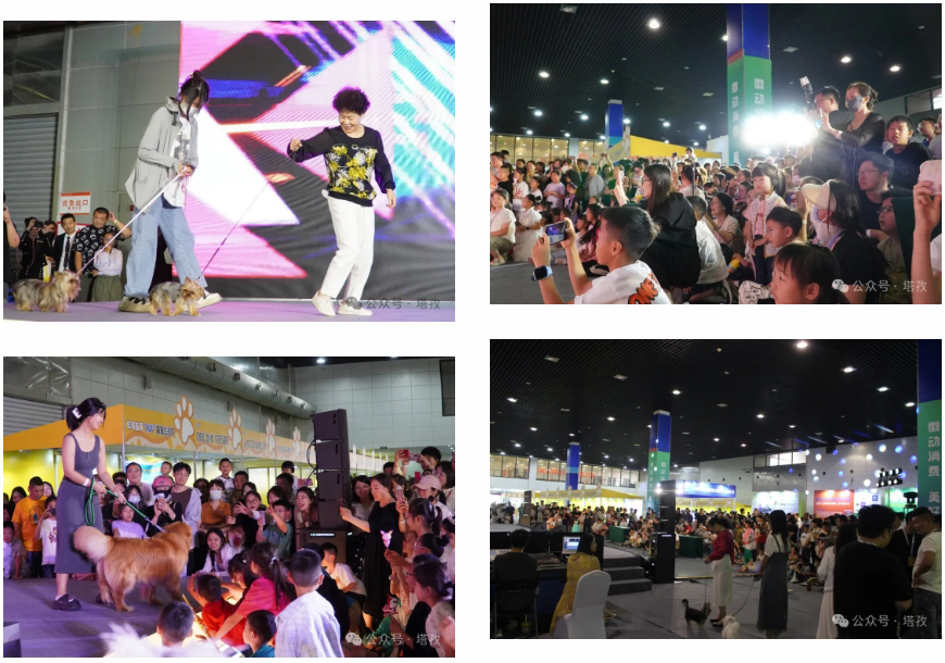 宠物展1.jpg 宠物展1.jpg