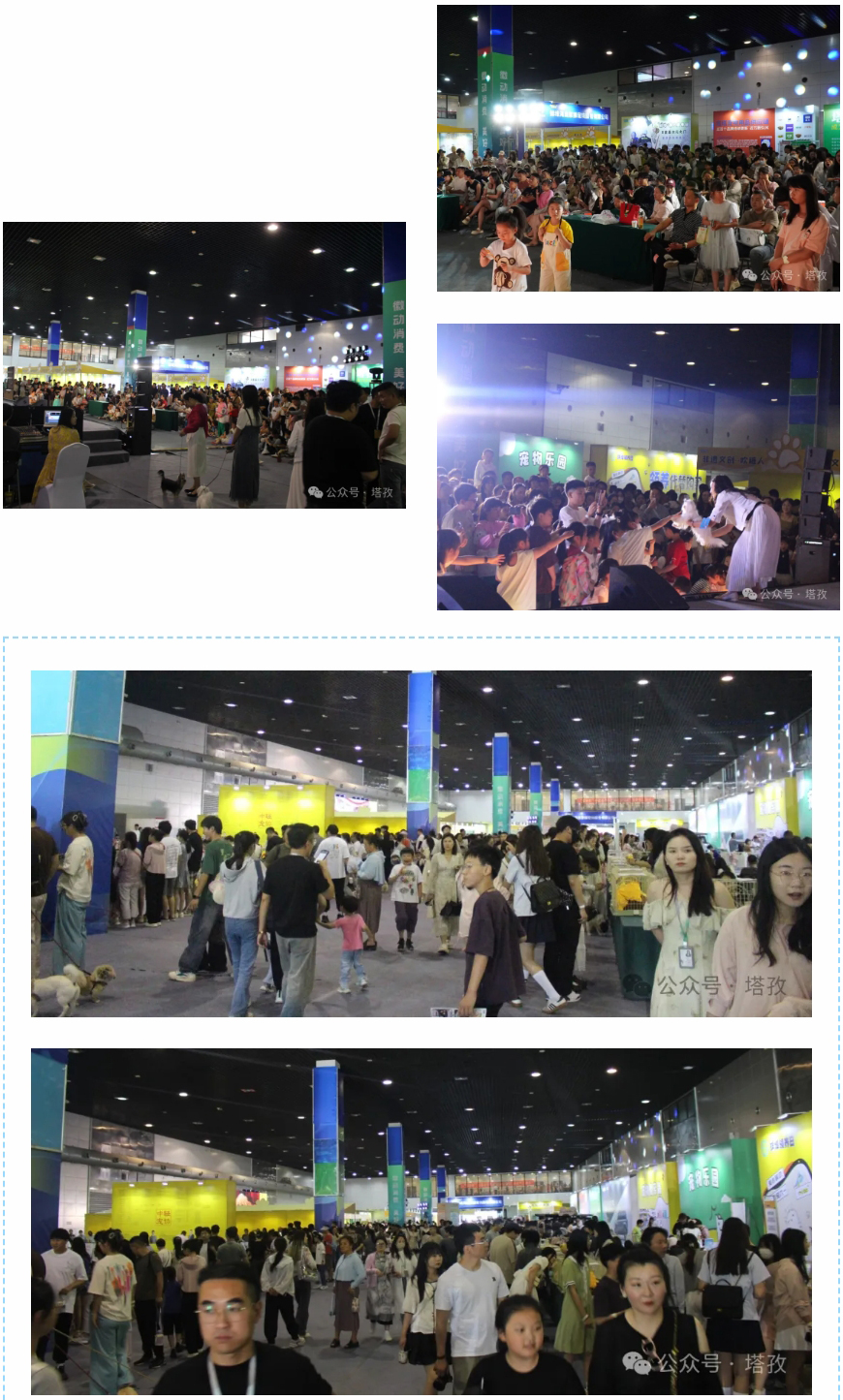 宠物展4.jpg 宠物展4.jpg